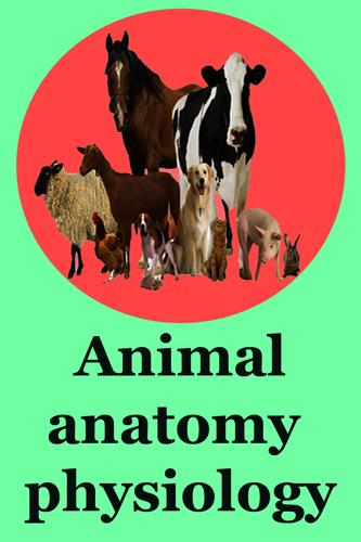 Anatomy and Physiology of Animals